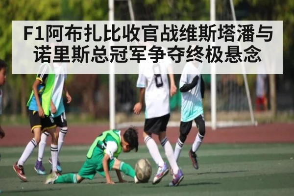 F1阿布扎比收官战维斯塔潘与诺里斯总冠军争夺终极悬念